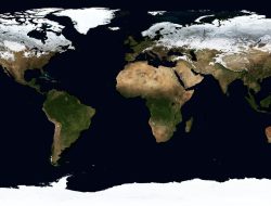 Studi: Setres Karena Cuaca Panas Ekstrim Mengancam 1 Miliar Orang di Dunia