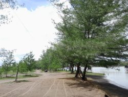 Pesona Tanjung Cemara Pangandaran, Harga Tiket dan Daya Tarik