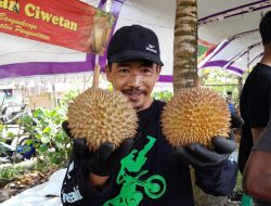 Festival Durian Lokal Pangandaran yang Manis dan Legit