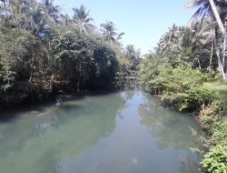 Sungai Citonjong Pangandaran Alami Pendangkalan