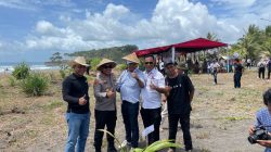 Penanaman Pohon Kelapa