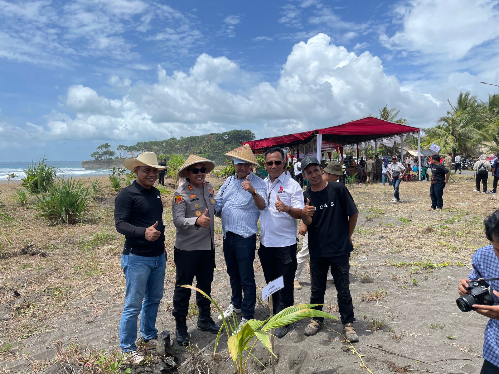 Penanaman Pohon Kelapa