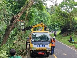 Pemangkasan Pohon Jalan Emplak Buat Wisatawan Melintas Nyaman