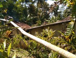 Angin Kencang Terjang Pangandaran Hari Ini, Pohon Tumbang Rusak Rumah