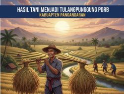 Sektor Pertanian: Tulang Punggung PDRB Kabupaten Pangandaran