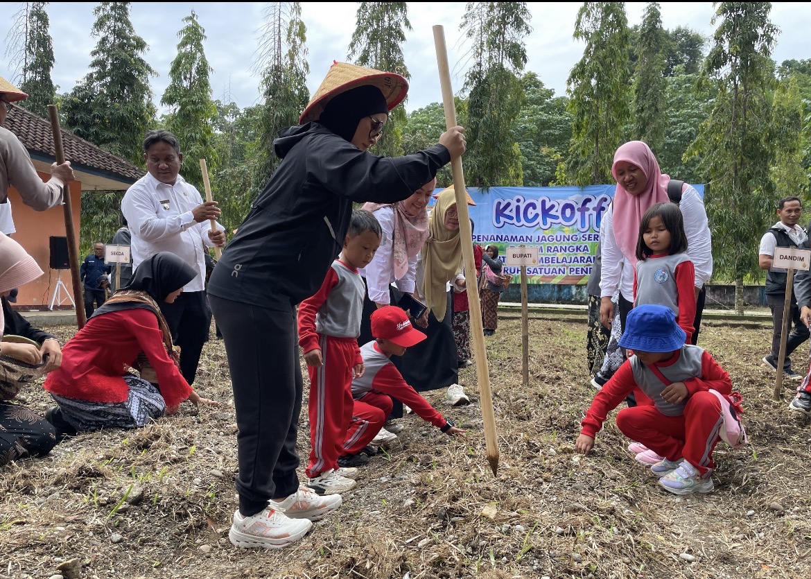 Bupati Pangandaran menanam jagung bersama siswa.