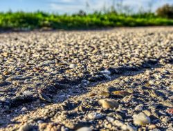 Menilik Aturan LLAJ, Bupati dan PU Bisa Dipenjara Jika Biarkan Jalan Rusak