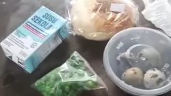 Menu Sederhana MBG di Pangandaran Sudah Tidak Relevan