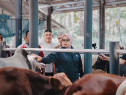 Ikhtiar Kemandirian dari Desa Rancah: Ida Nurlaela Resmikan Kandang Sapi Mukti Raharja