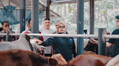 Ikhtiar Kemandirian dari Desa Rancah: Ida Nurlaela Resmikan Kandang Sapi Mukti Raharja
