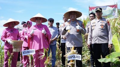 Sinergi Lintas Sektor, Program Jagung Polda Jabar Serap 75 Ribu Ton untuk Industri Pakan