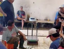 Jeje Wiradinata Pantau Pelelangan Ikan Transaksi Tembus Rp 200 Juta/Hari