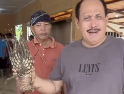 Ketua HNSI Pangandaran Soroti Kelangkaan Lobster Jumbo Efek Benur