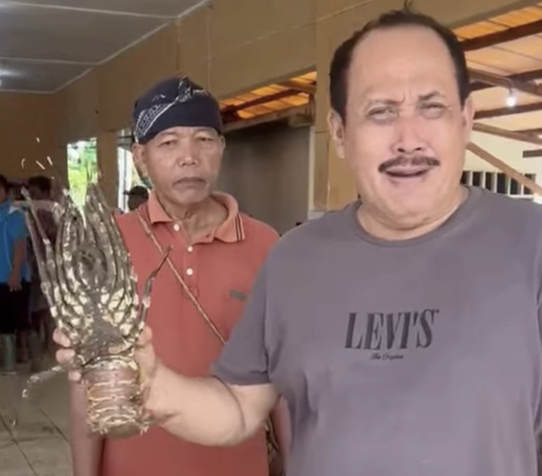 Ketua HNSI