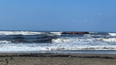 Laut