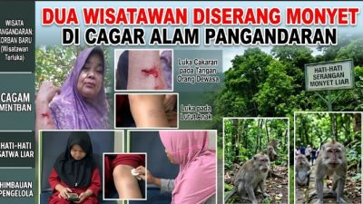 Dua Wisatawan