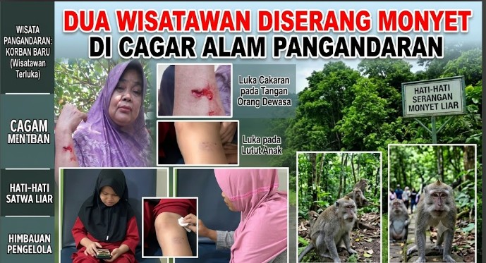 Dua Wisatawan