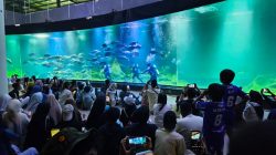 Unik! Akuarium Indonesia Pangandaran Hadirkan Pesta Bola di Bawah Laut