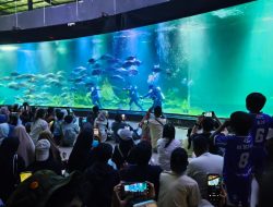 Unik! Akuarium Indonesia Pangandaran Hadirkan Pesta Bola di Bawah Laut