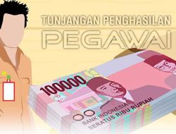 Kembang Api Menyala, TPP ASN Dihapus 4 Bulan